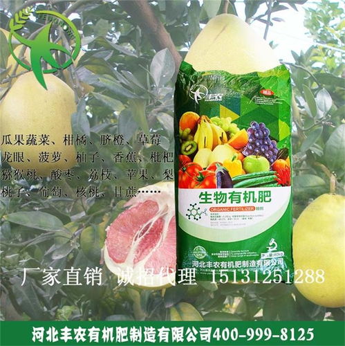 行唐縣豐農有機肥 助力果蔬種植的綠色革命